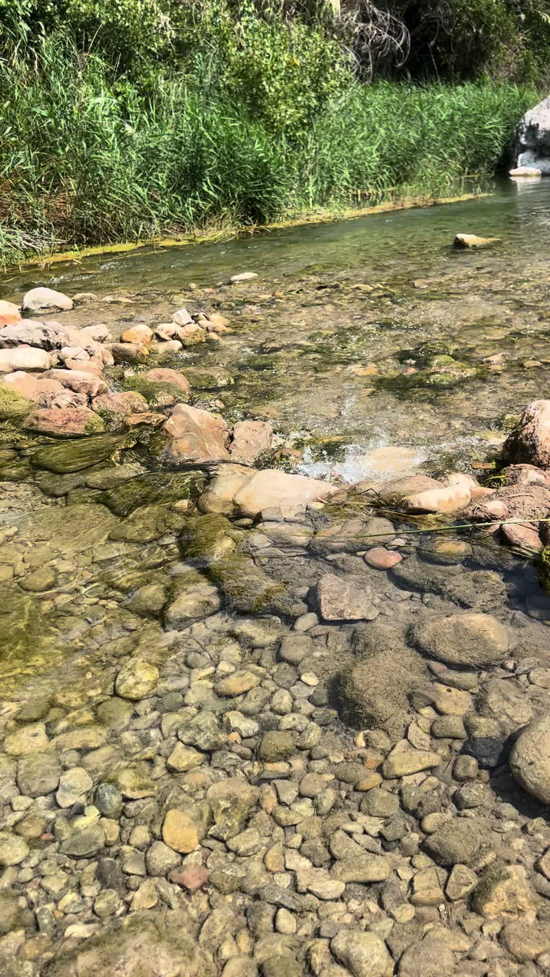 @e.v.a.a17