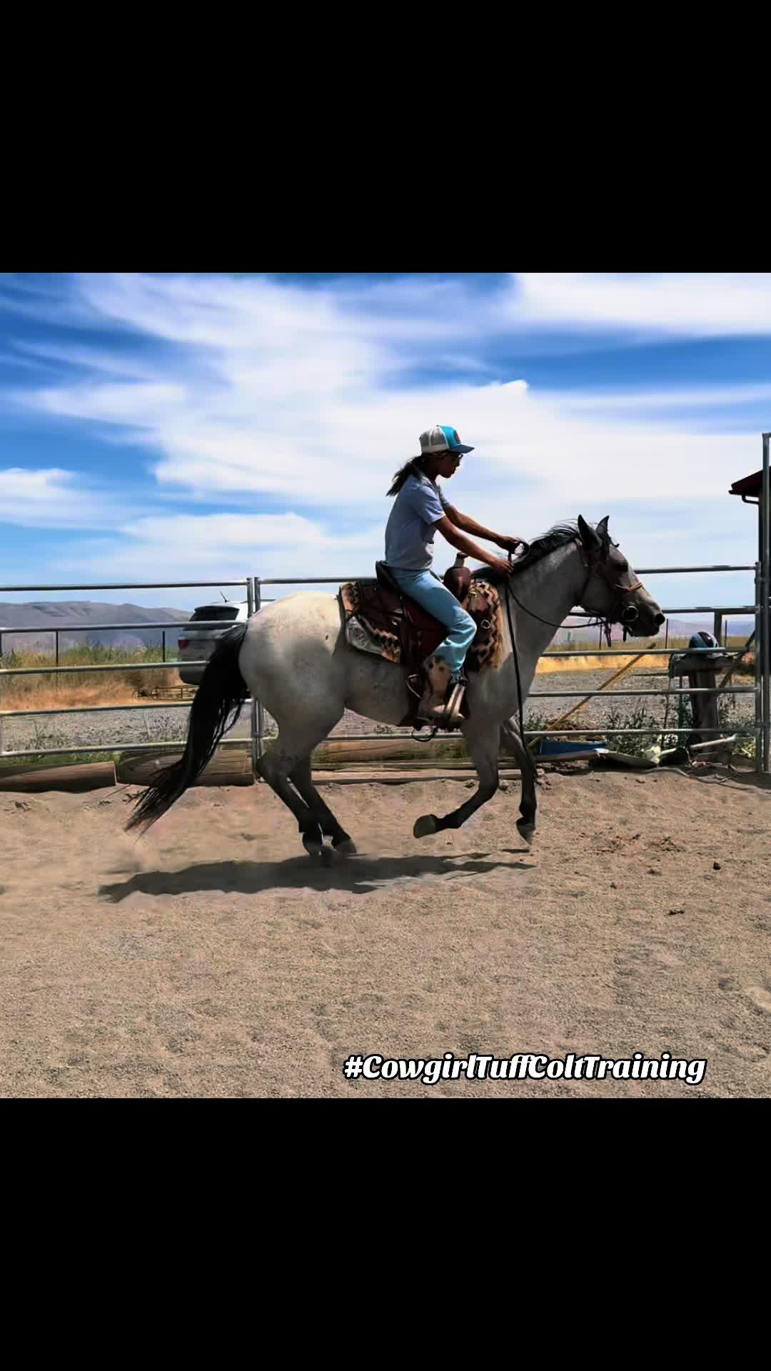 @Cowgirl Tuff Colt Training ❤️