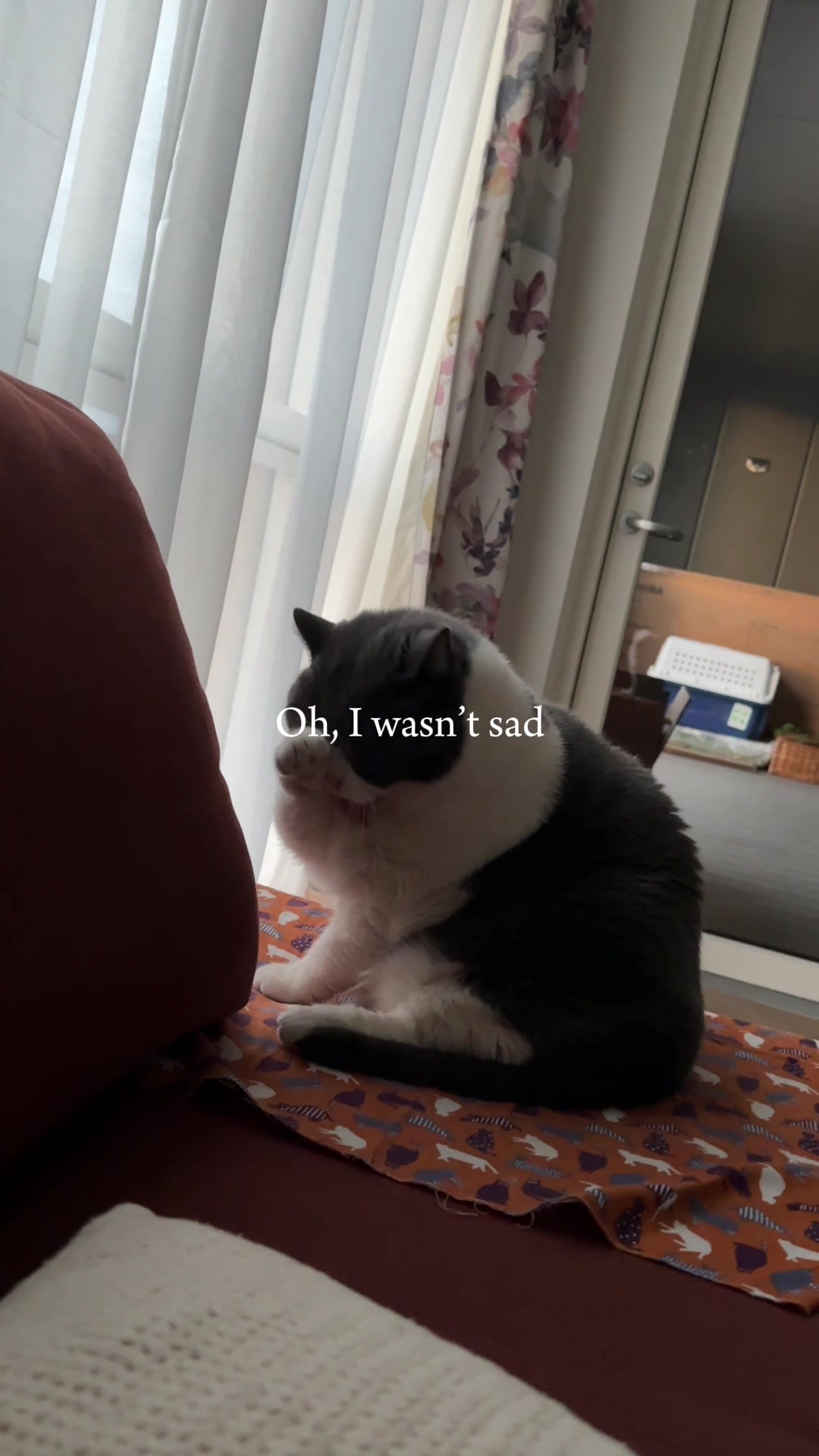 @Emojithecat