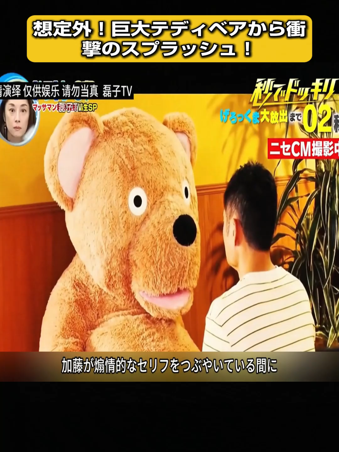@ソラタビの泉：謎と雑学の探検隊