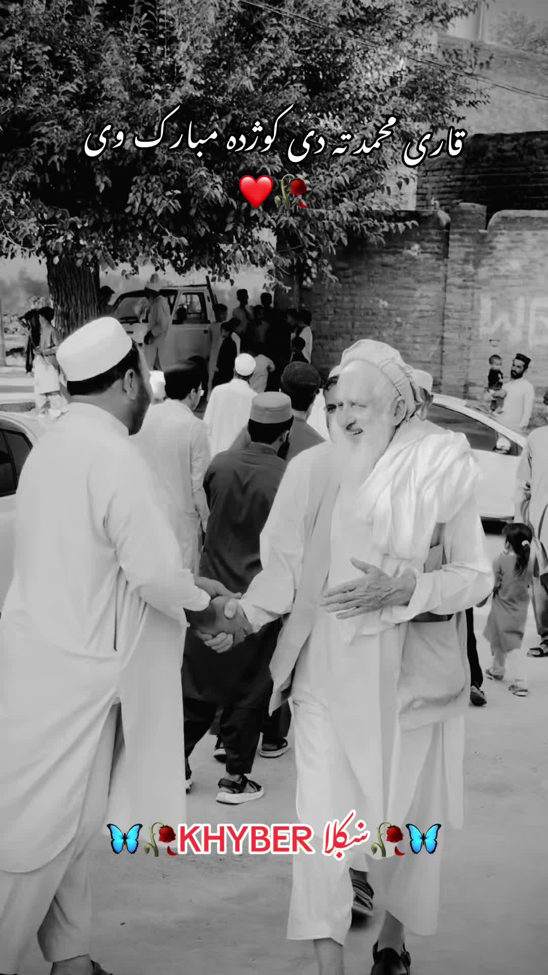 @🦋 🥀 khyber ښکلا 🥀 🦋