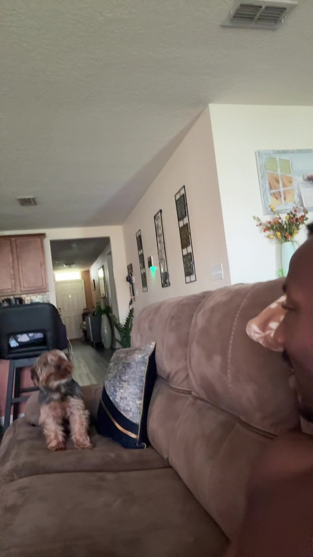 @dandrewilcox