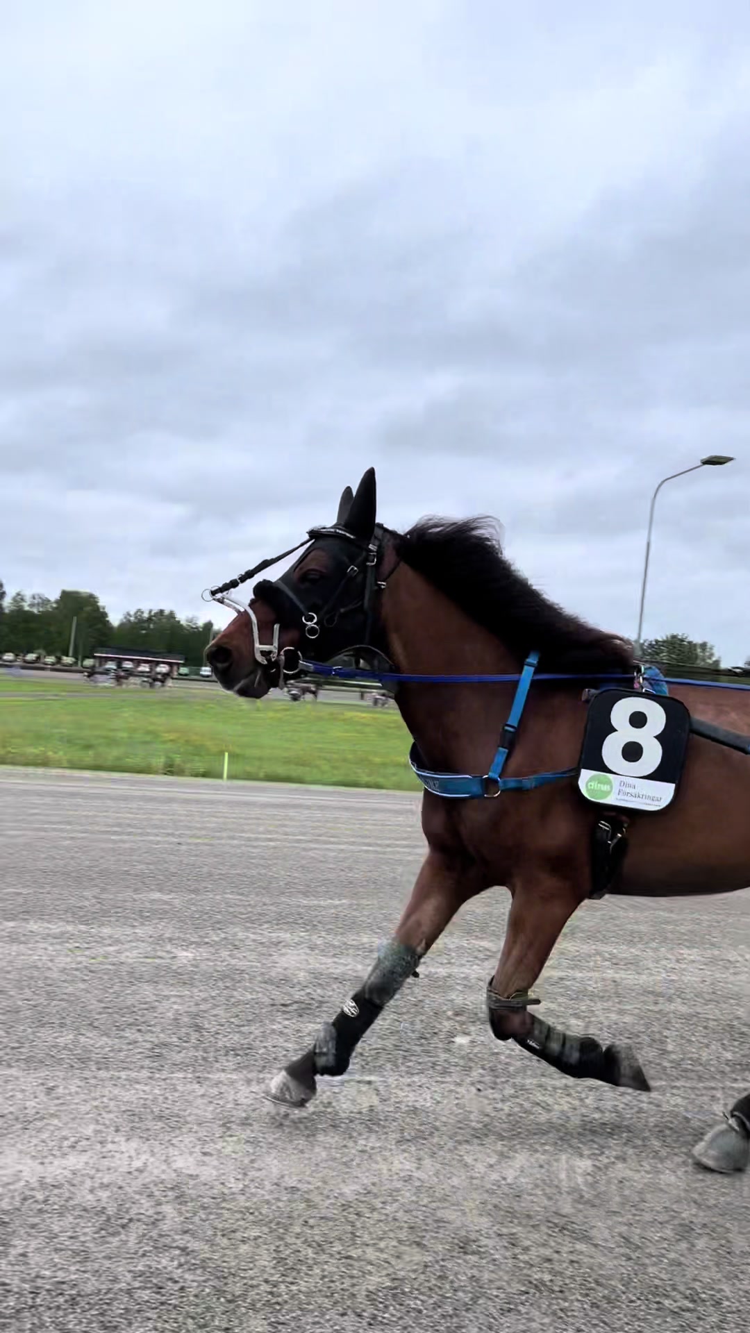 @ℐ𝓈𝒶𝒽 ℒ𝒾𝓃𝒹𝒷ℯ𝓇𝑔 🇸🇪