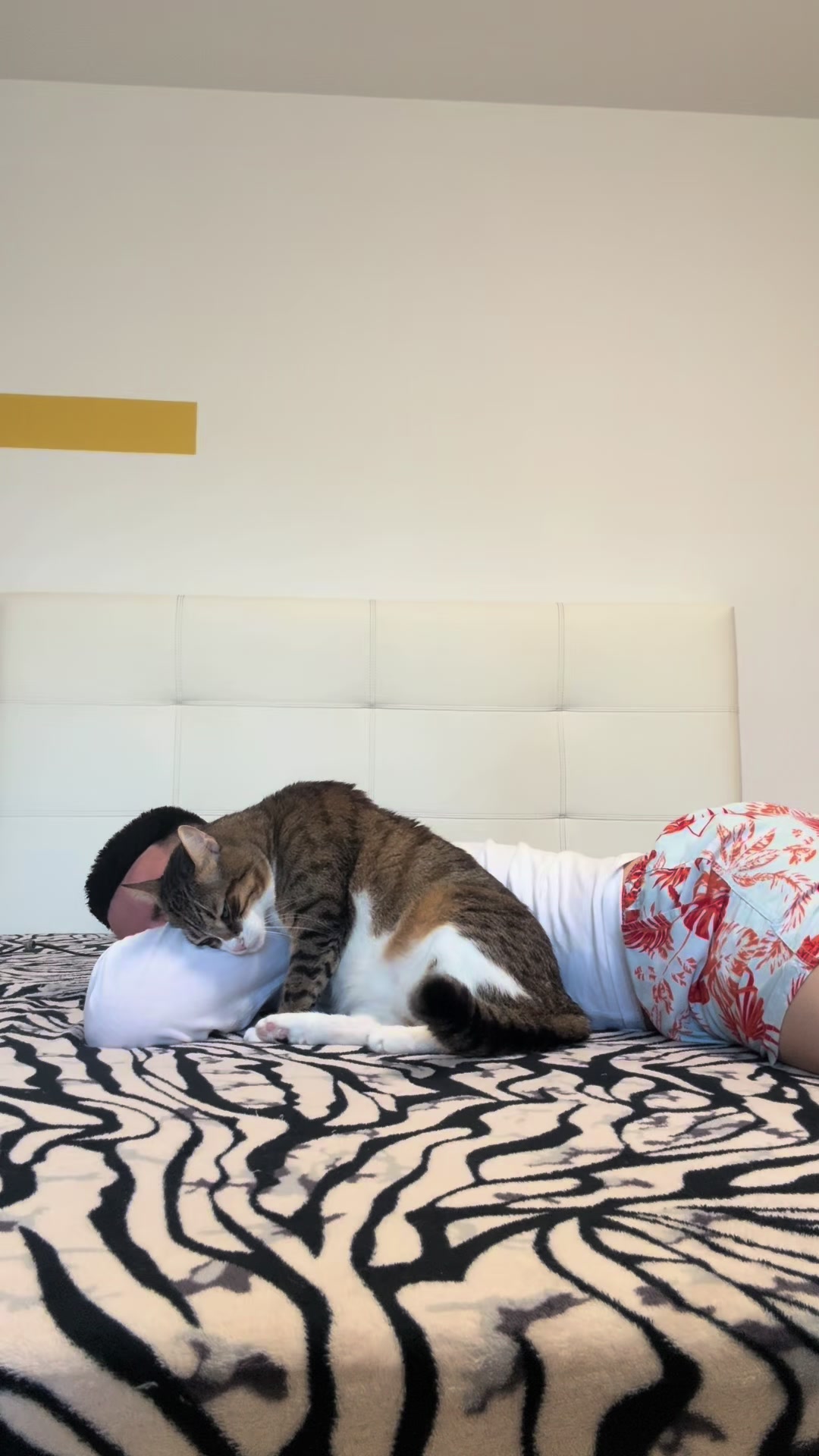 @MitzuSfabu
