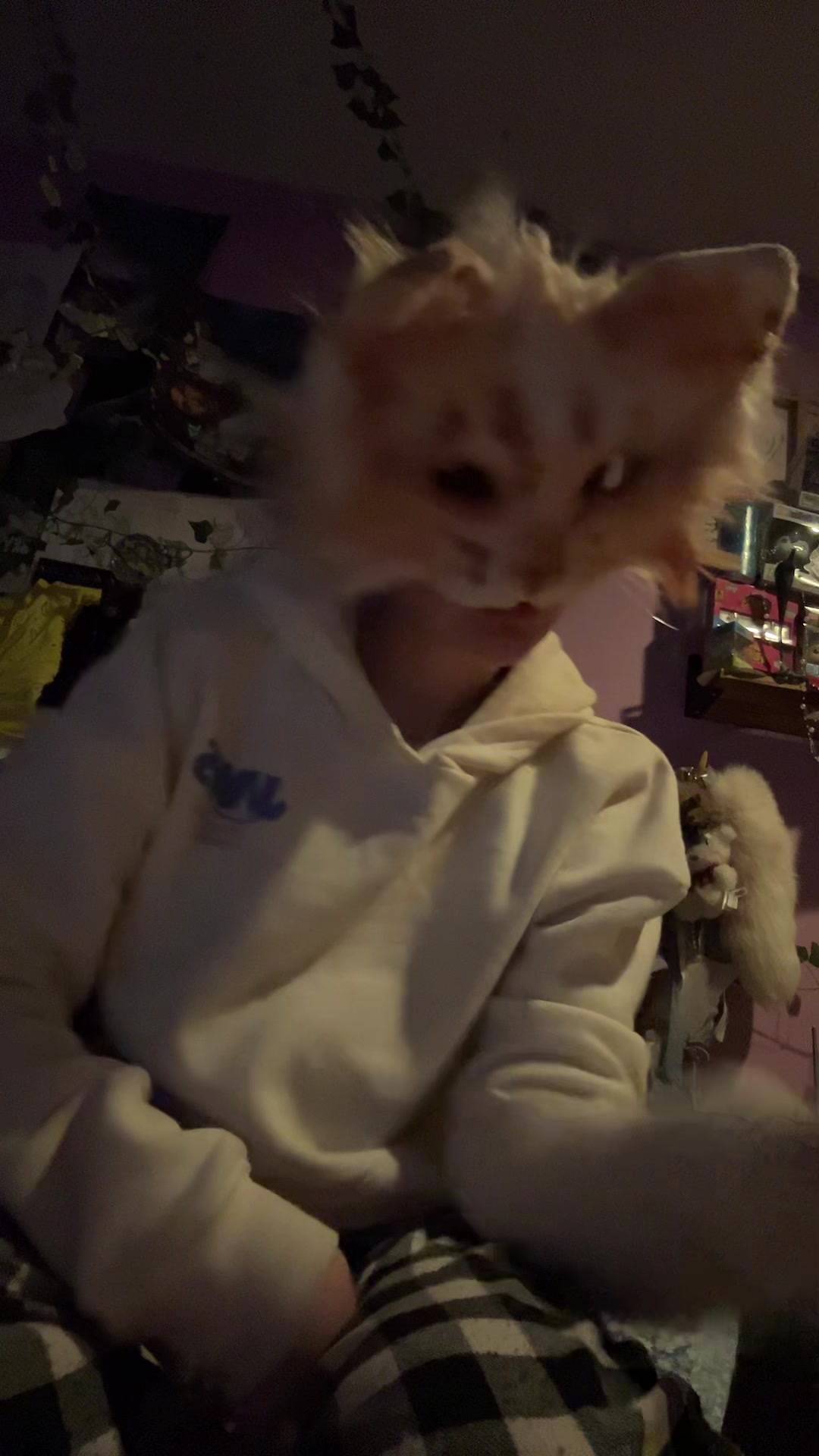 @{🤍⟡𓆞𝔉𝔦𝔰𝔥𓆟⟡📝}