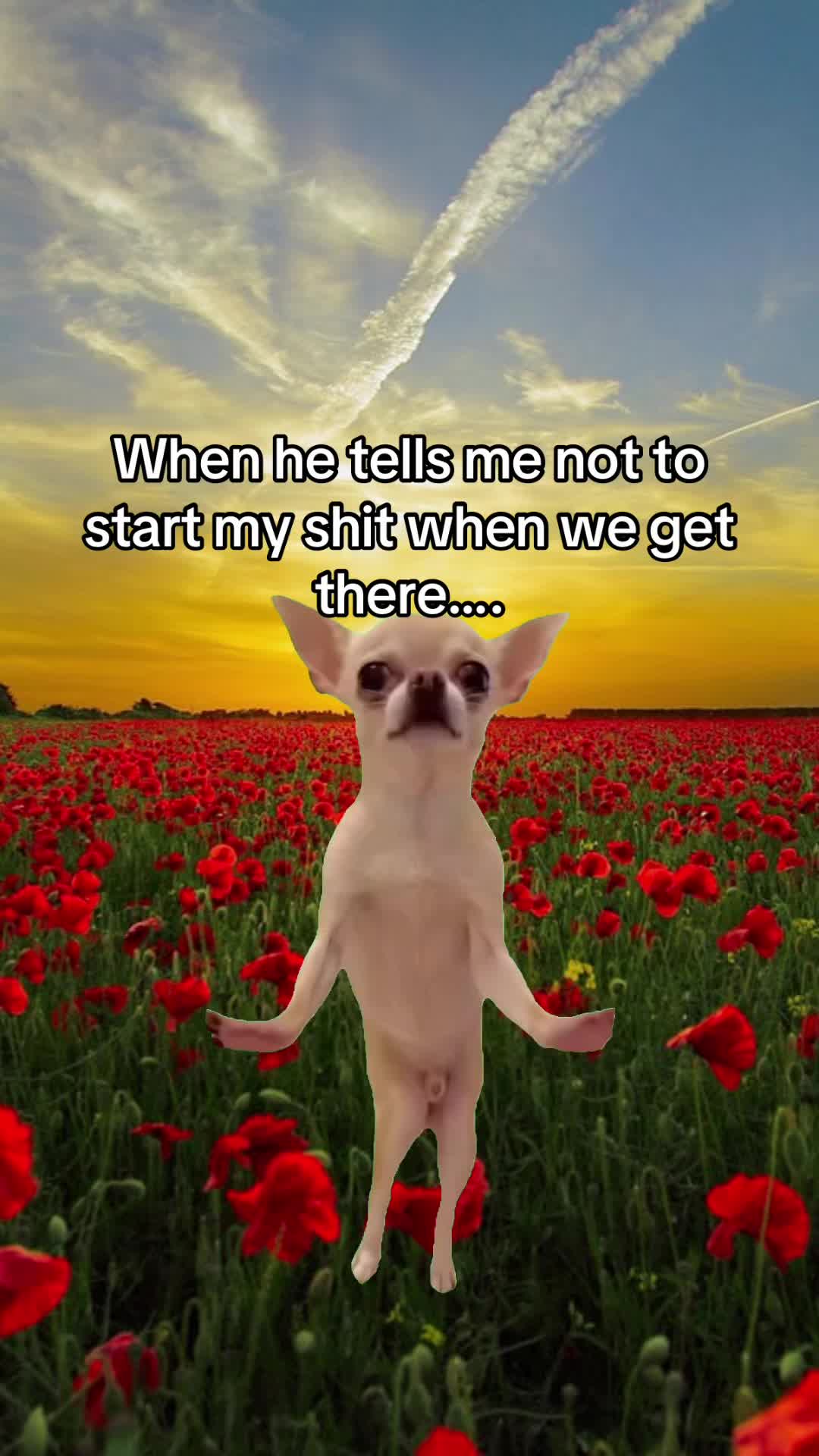 @Shelley6108