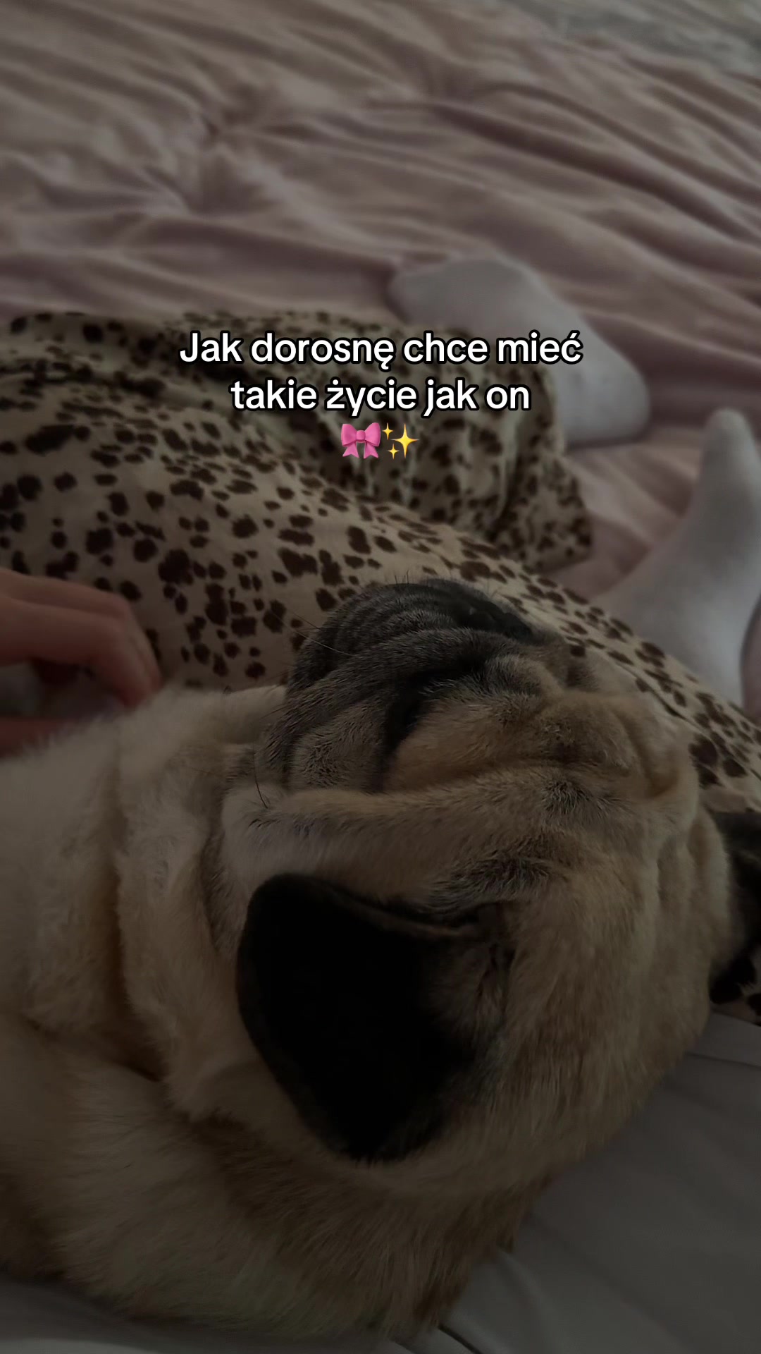 @Ig: patrycjakohnke💋
