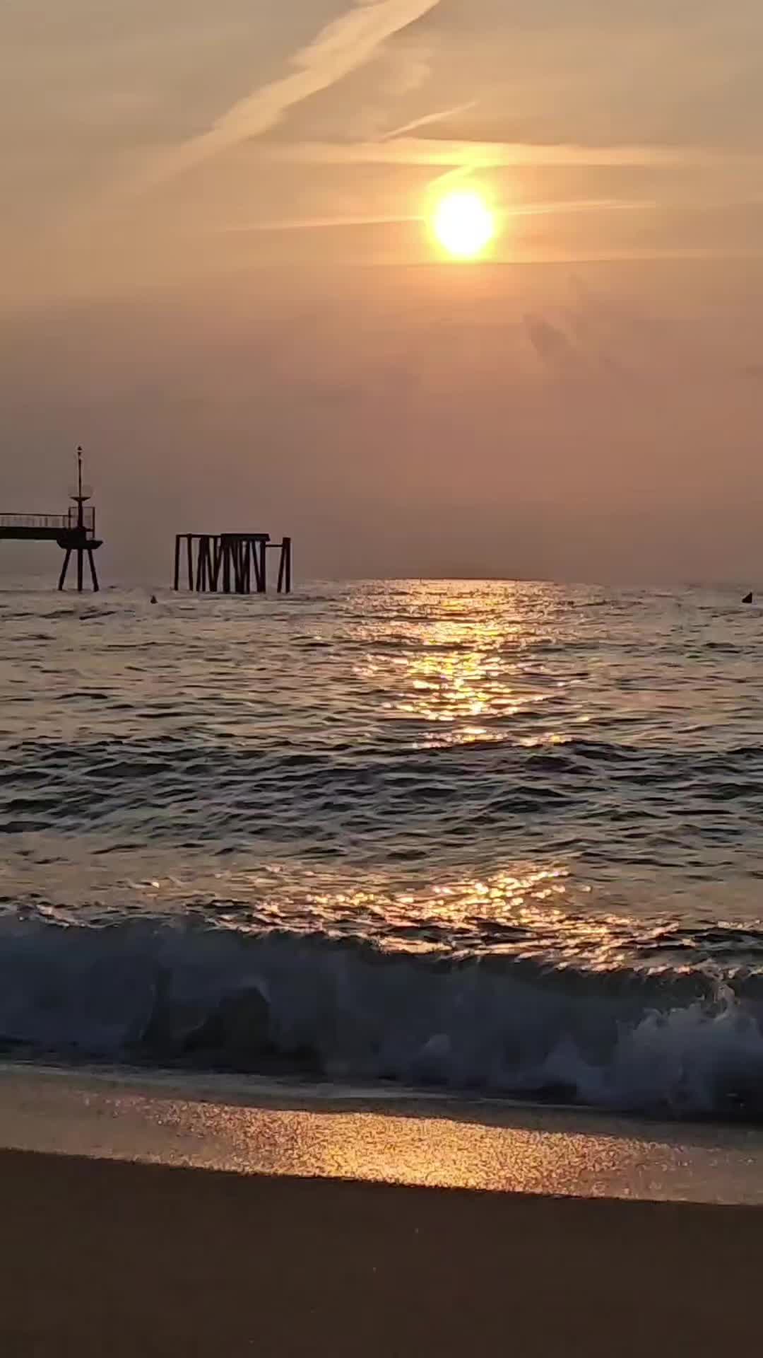@Śladami Zebry