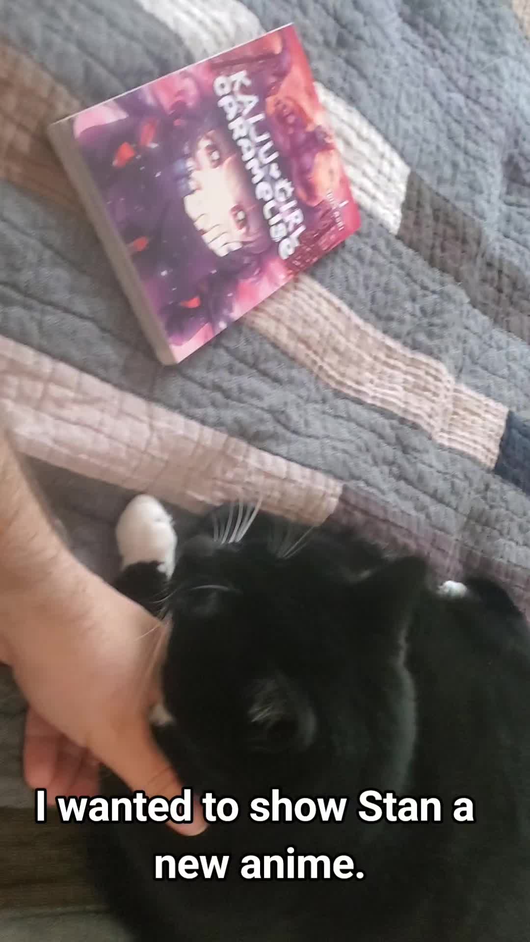 @PurrusingBooks