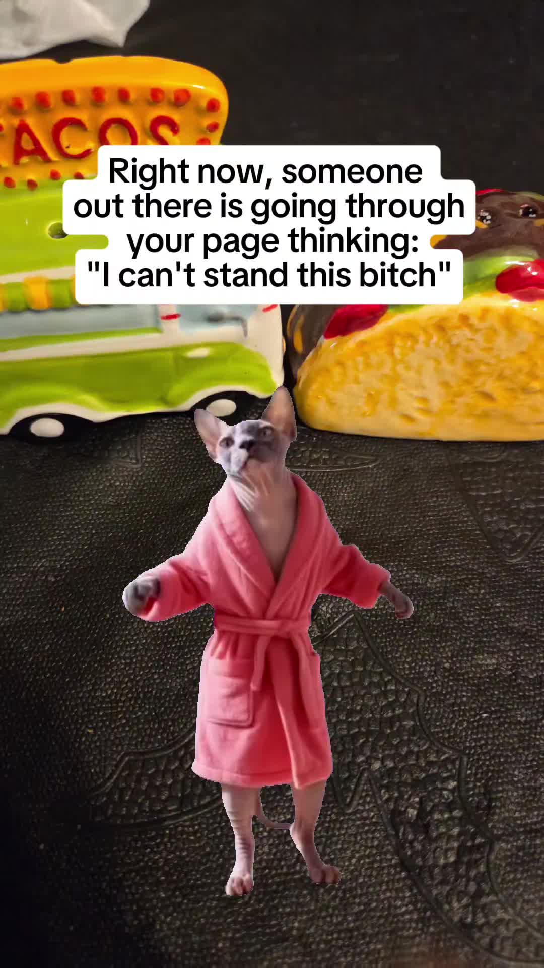 @Kat ❌️