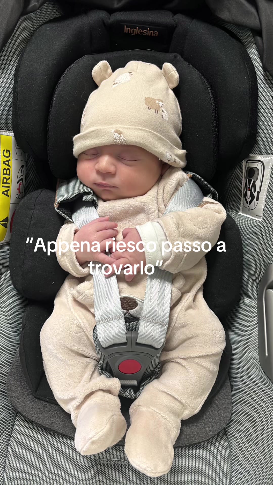 @ALICE🤍