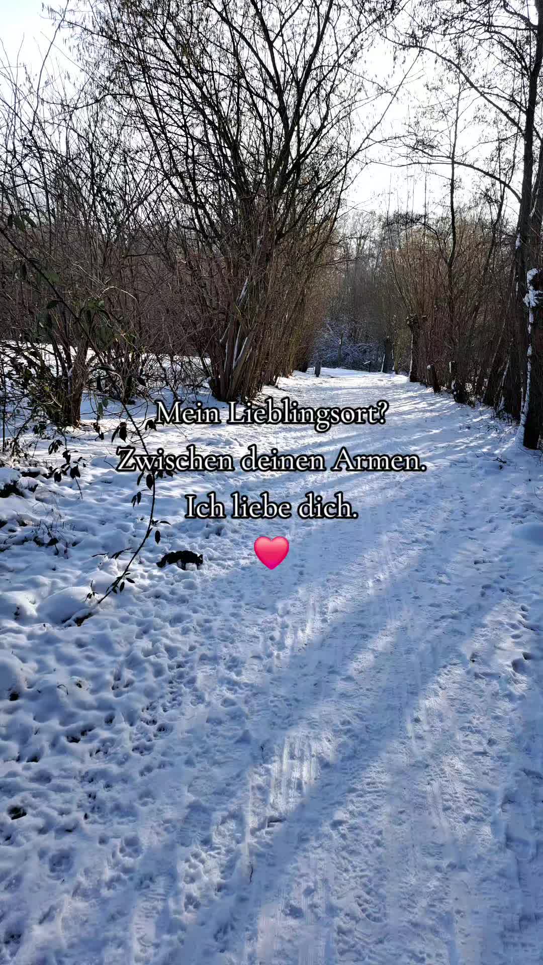 @Mr.zitat (joschy)