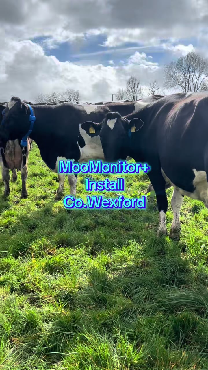@Dairymaster