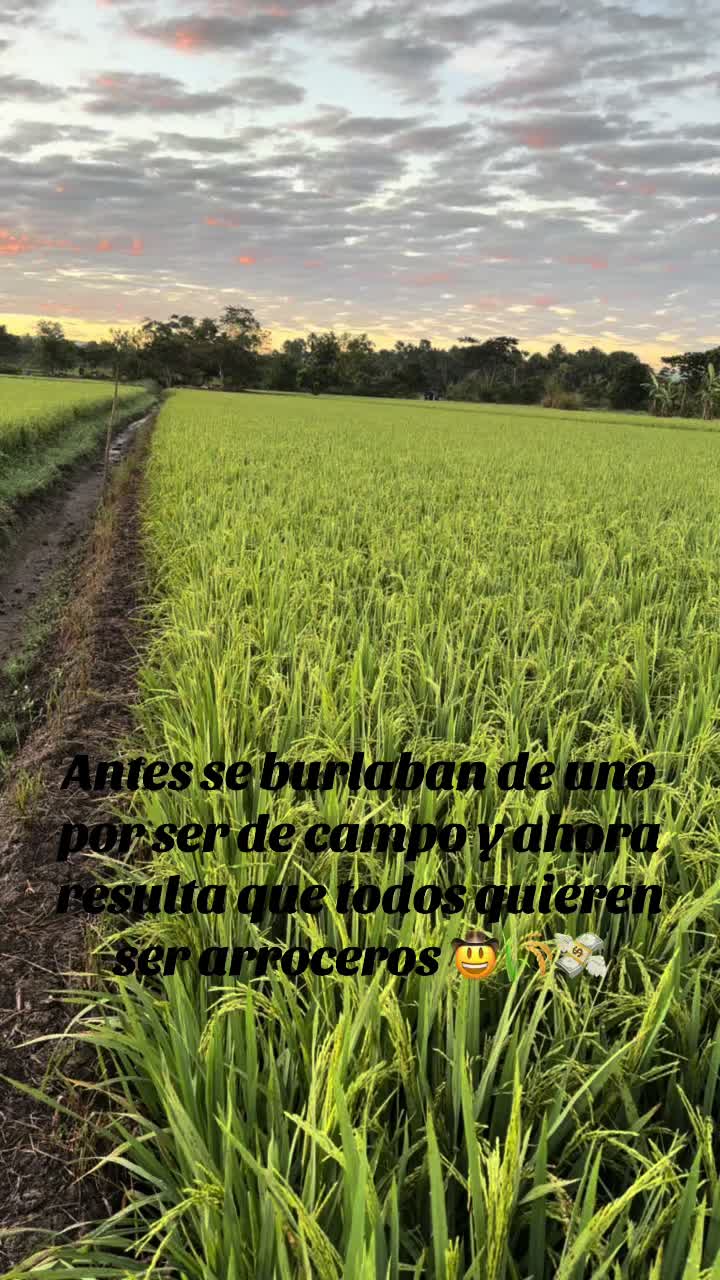 @Alejandro