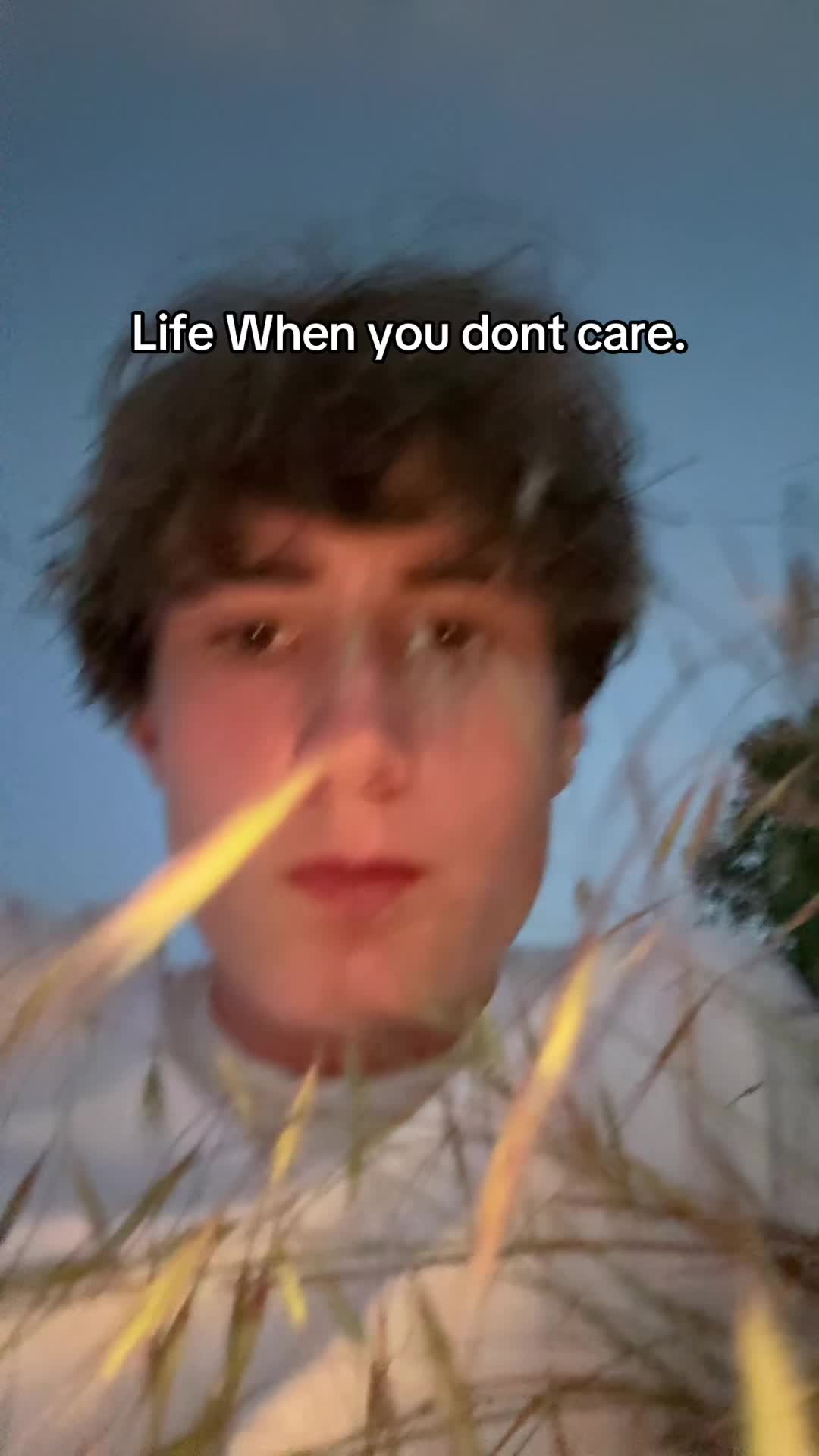 @performativegoy0