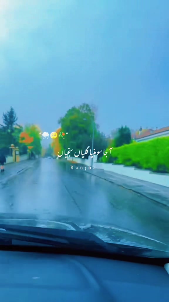 @Vaneeza khan🏴