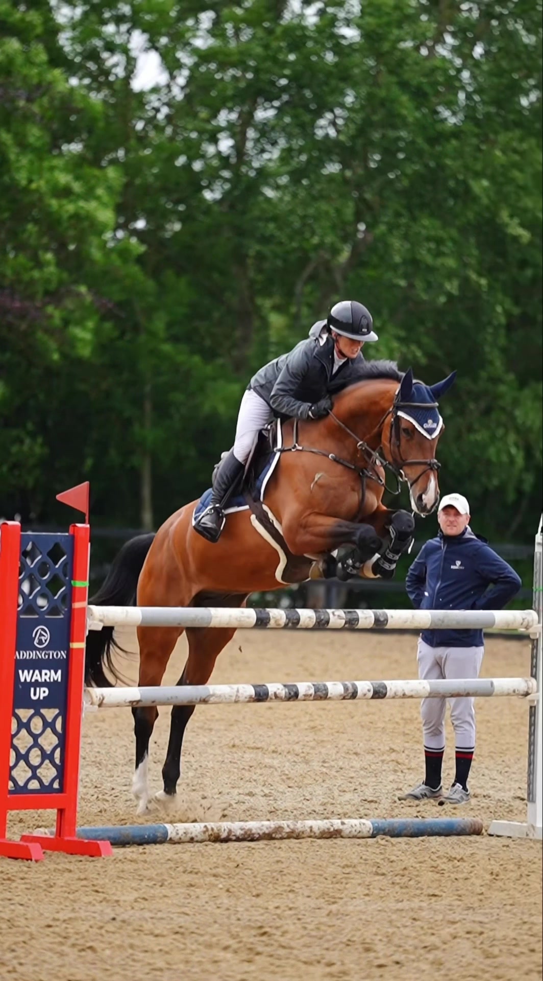@Lucy Struthers Horses