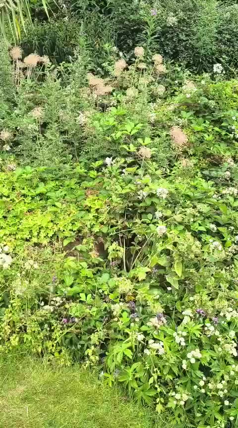 @Animal & Nature Lovers