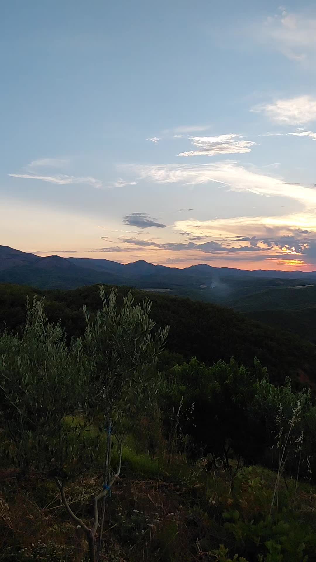 @Arta prenga