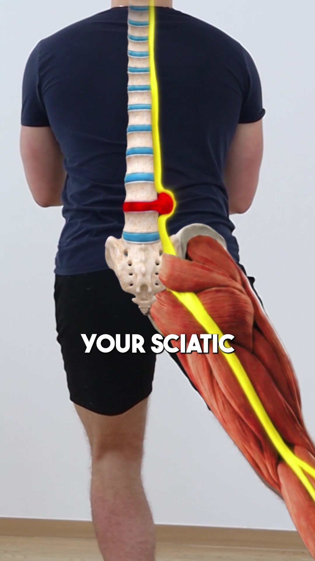 @Recover Pain