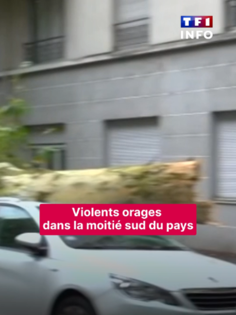 @TF1 INFO