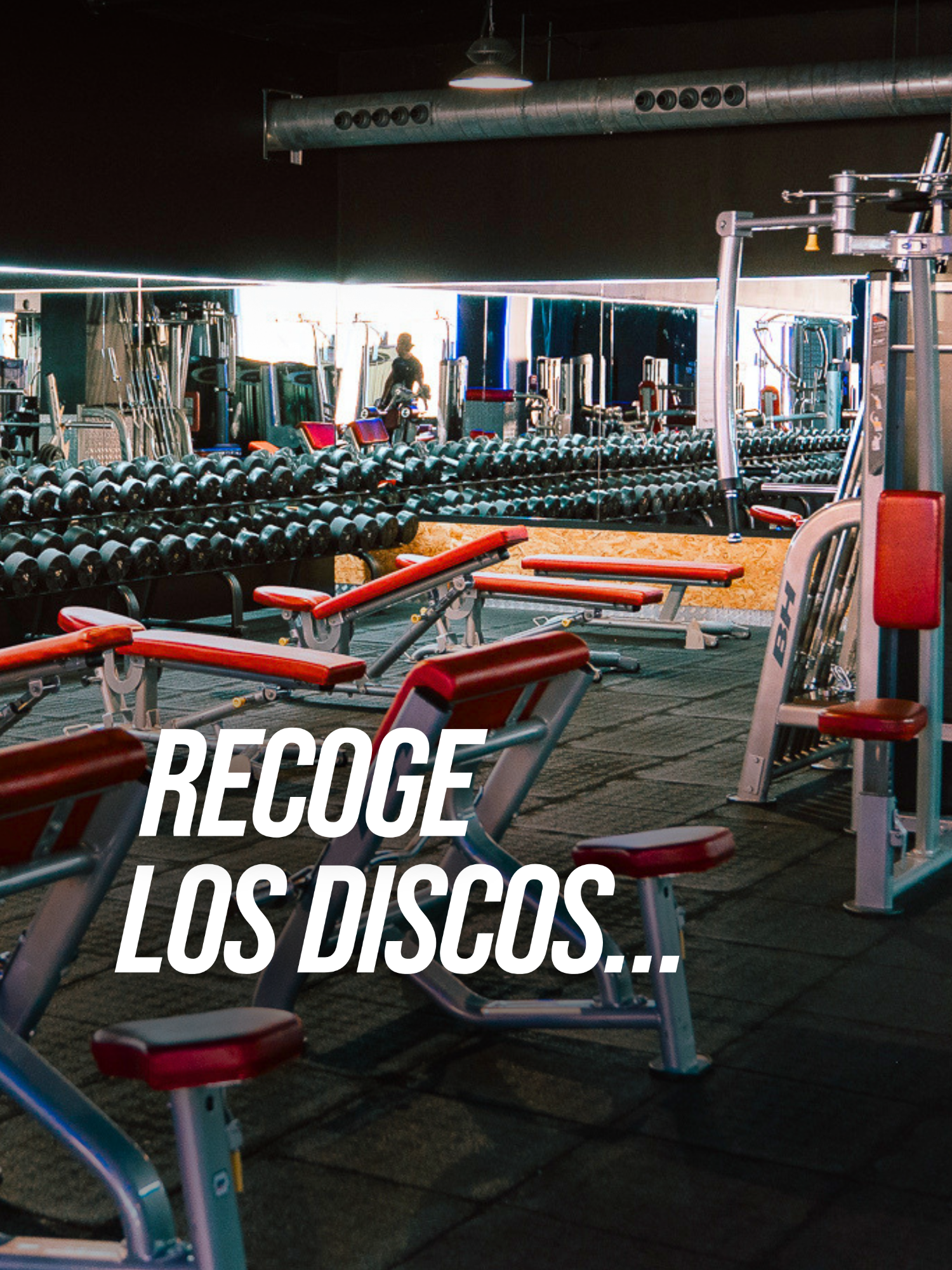 @Holiday Gym