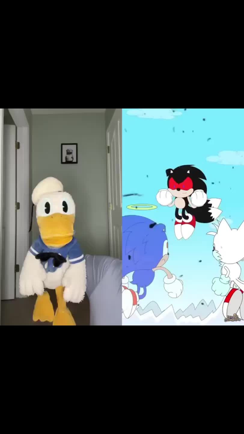 @DonaldDucc 🦆