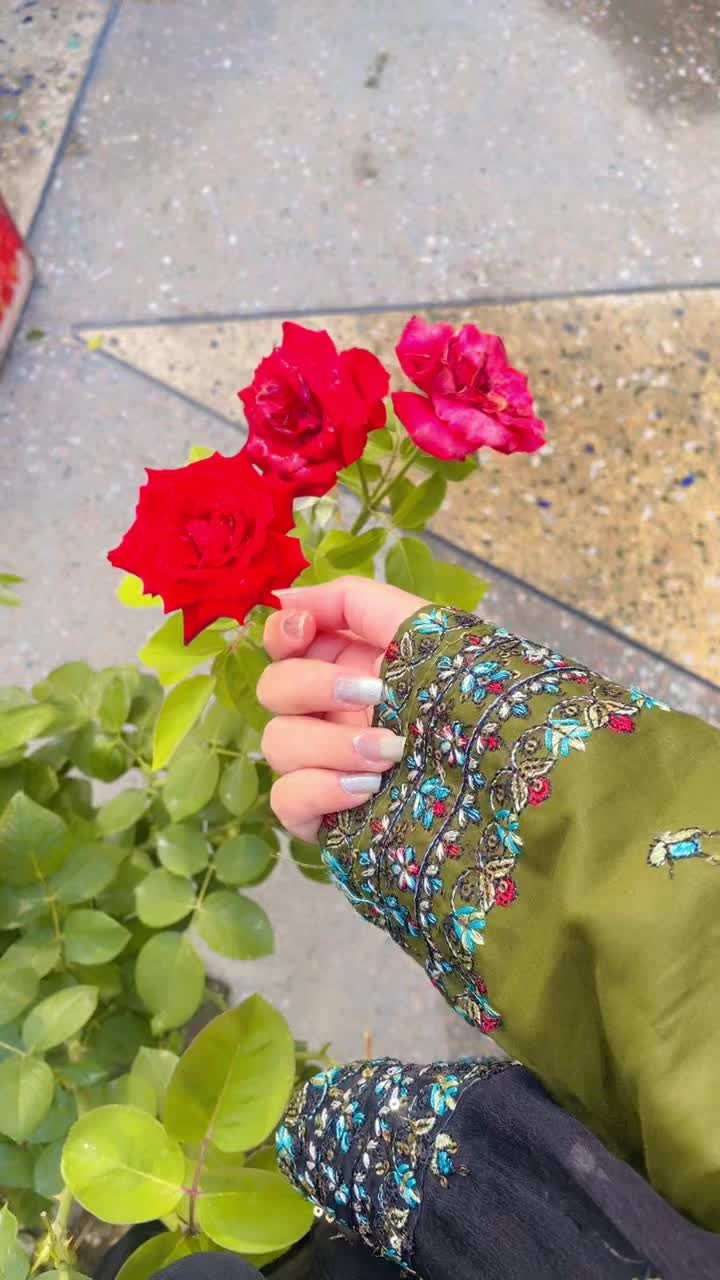 @S:K🦋🌻
