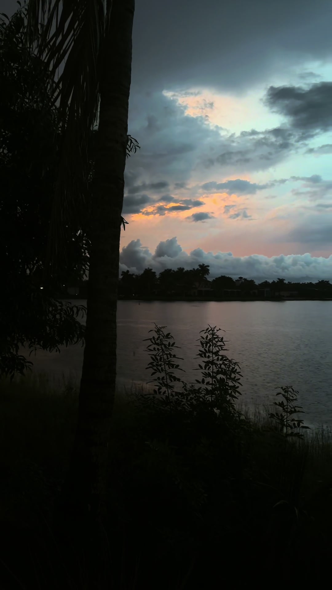 @view
