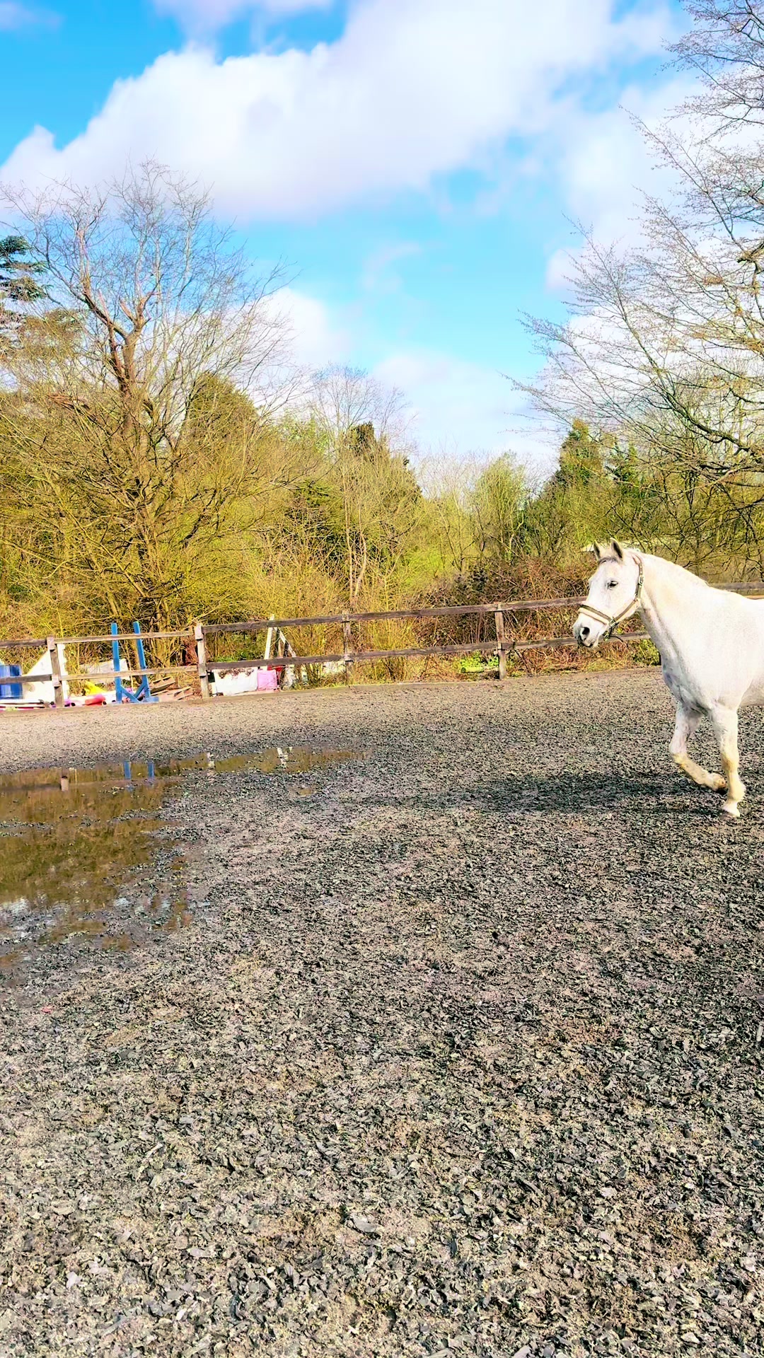 @Slough horses