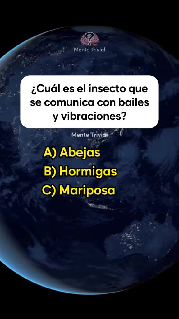 @Julia Vidal