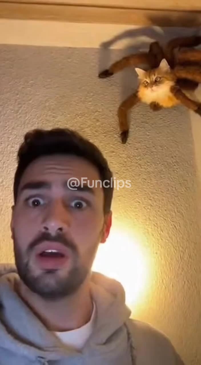 @FunClips