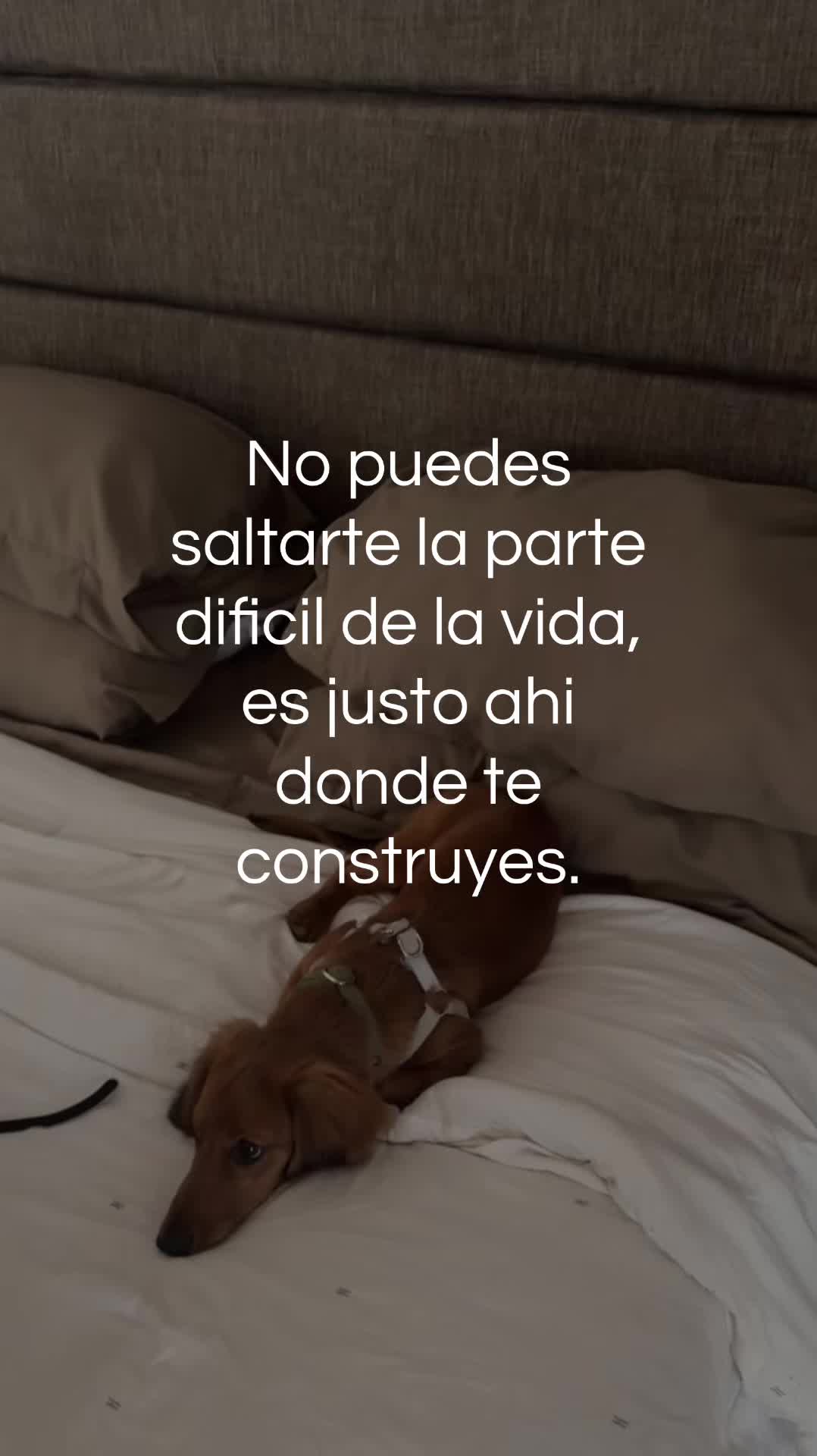 @NICOLL