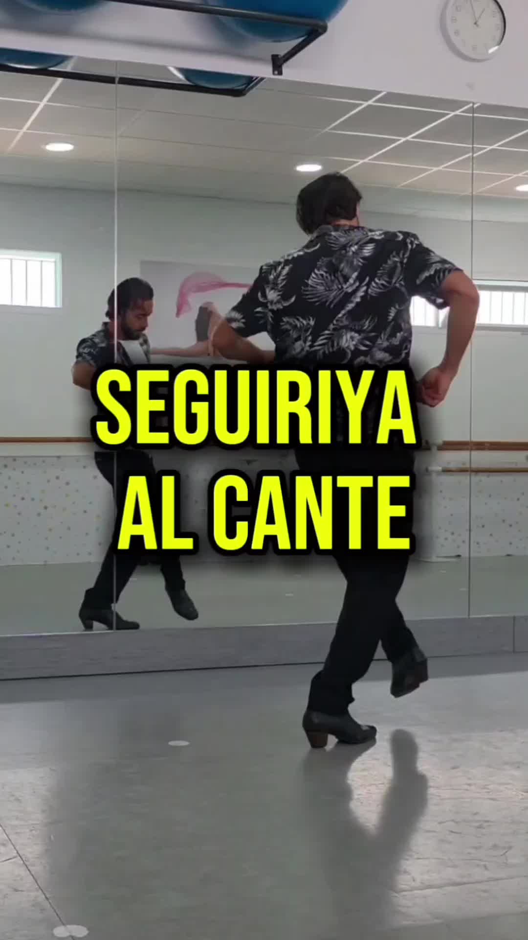 @Mario de los Santos Flamenco
