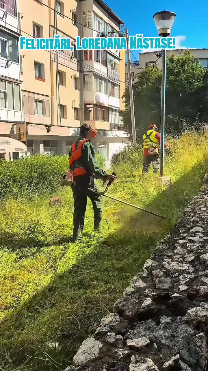 @PNL Argeș