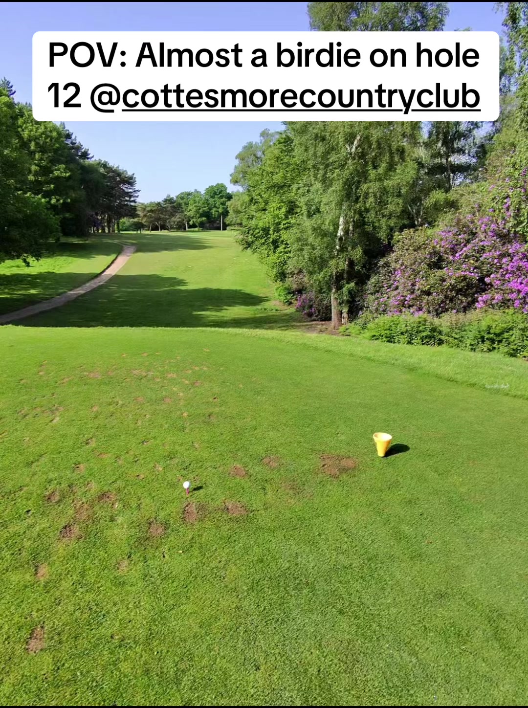 @GolfBite