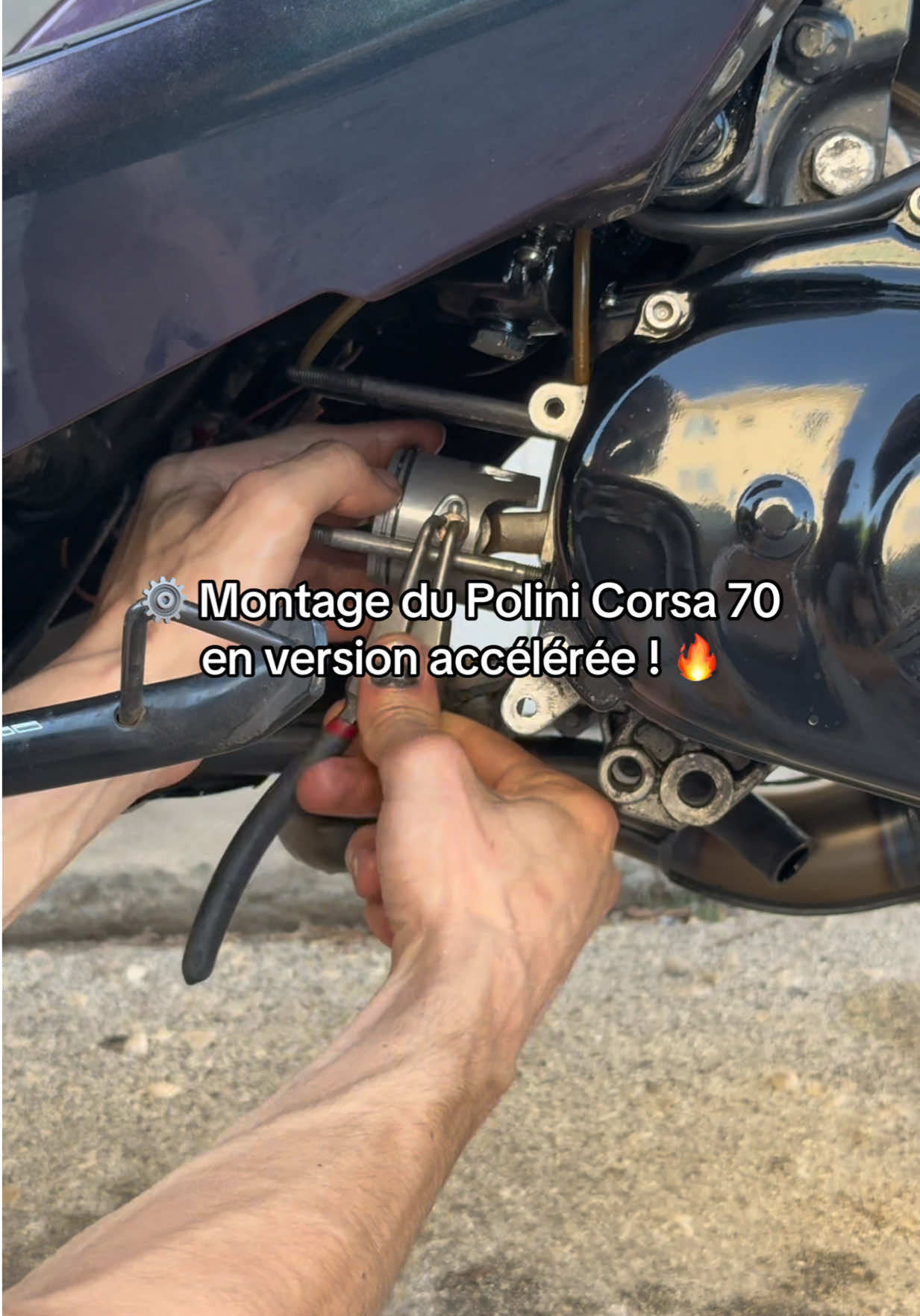 @le_rider_fou
