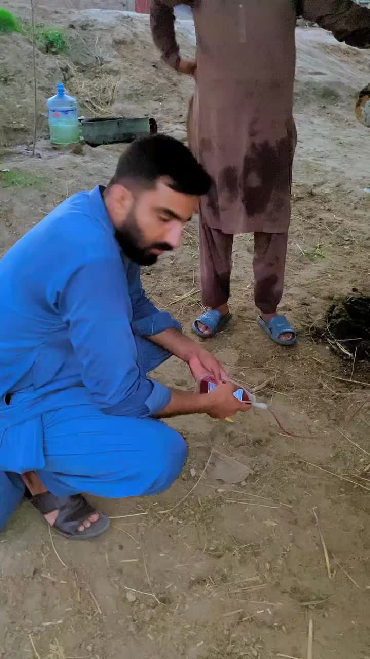 @❤️ویٹرنری ڈاکٹر ❤️