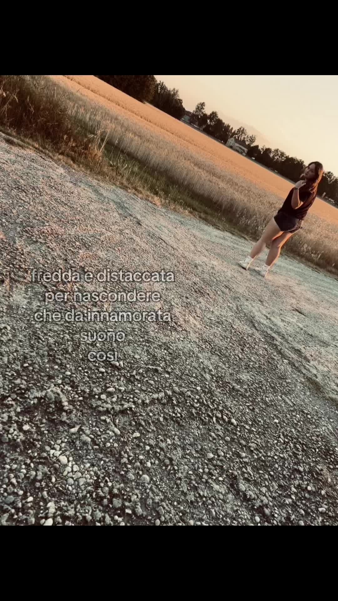 @🕷️