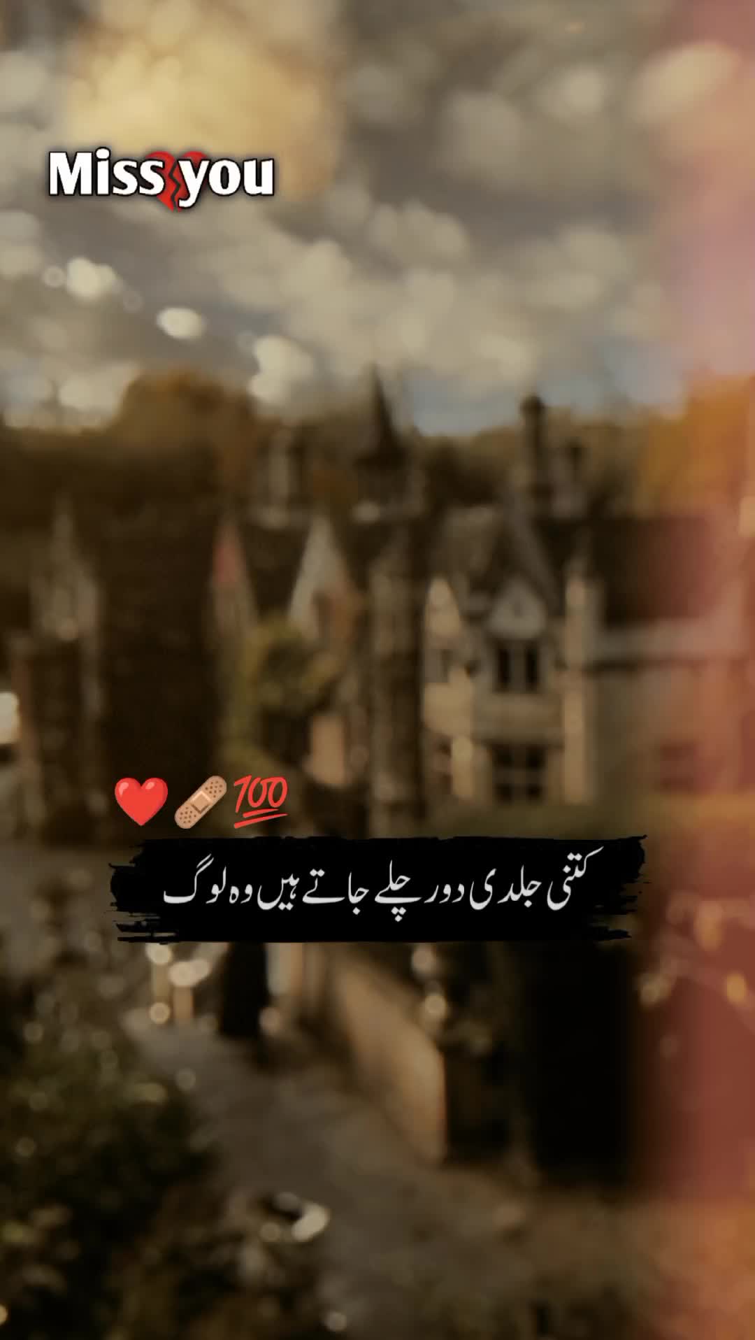 @🍂سرورِ عشق🫀