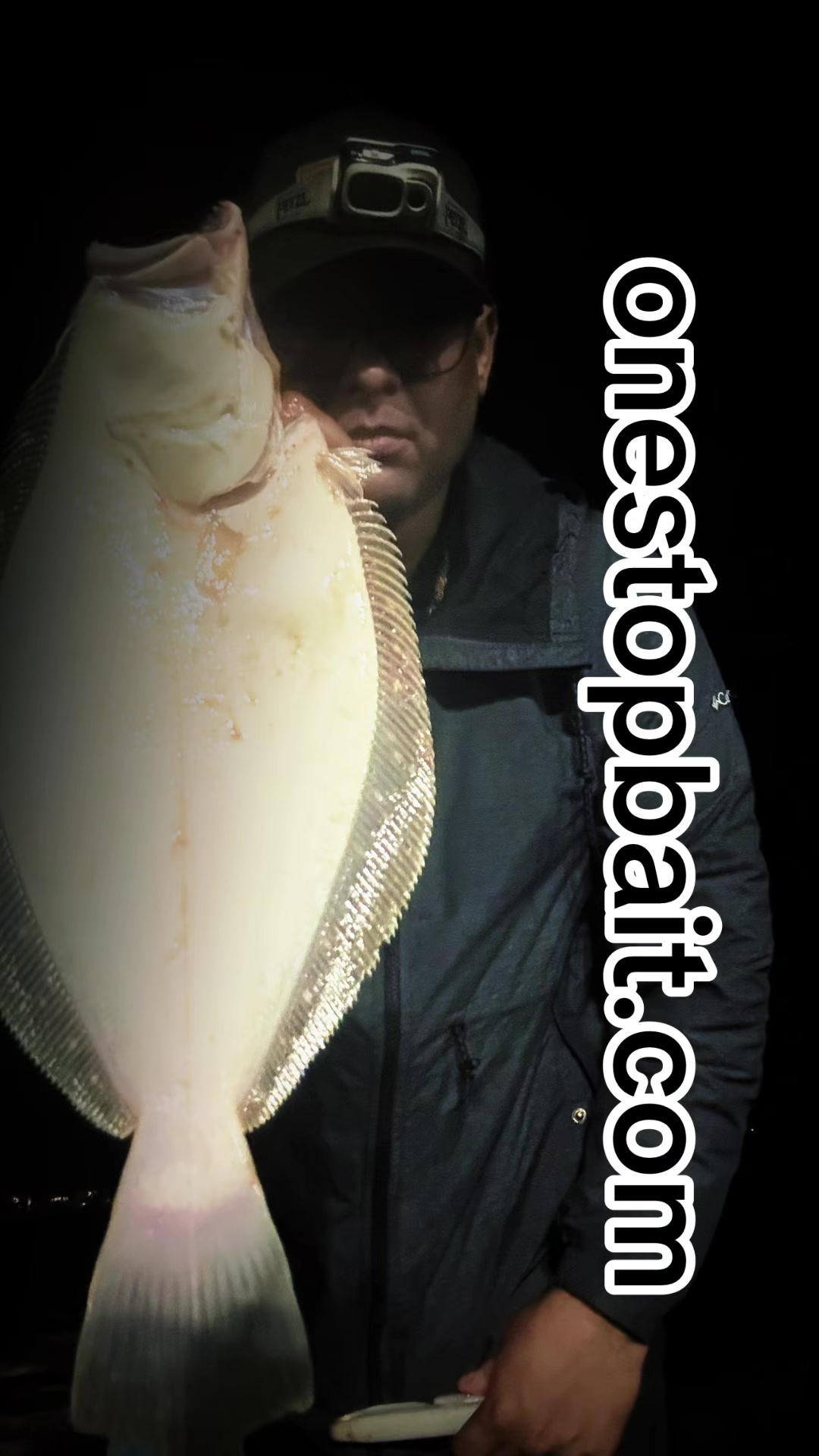 @One stop bait & tackle