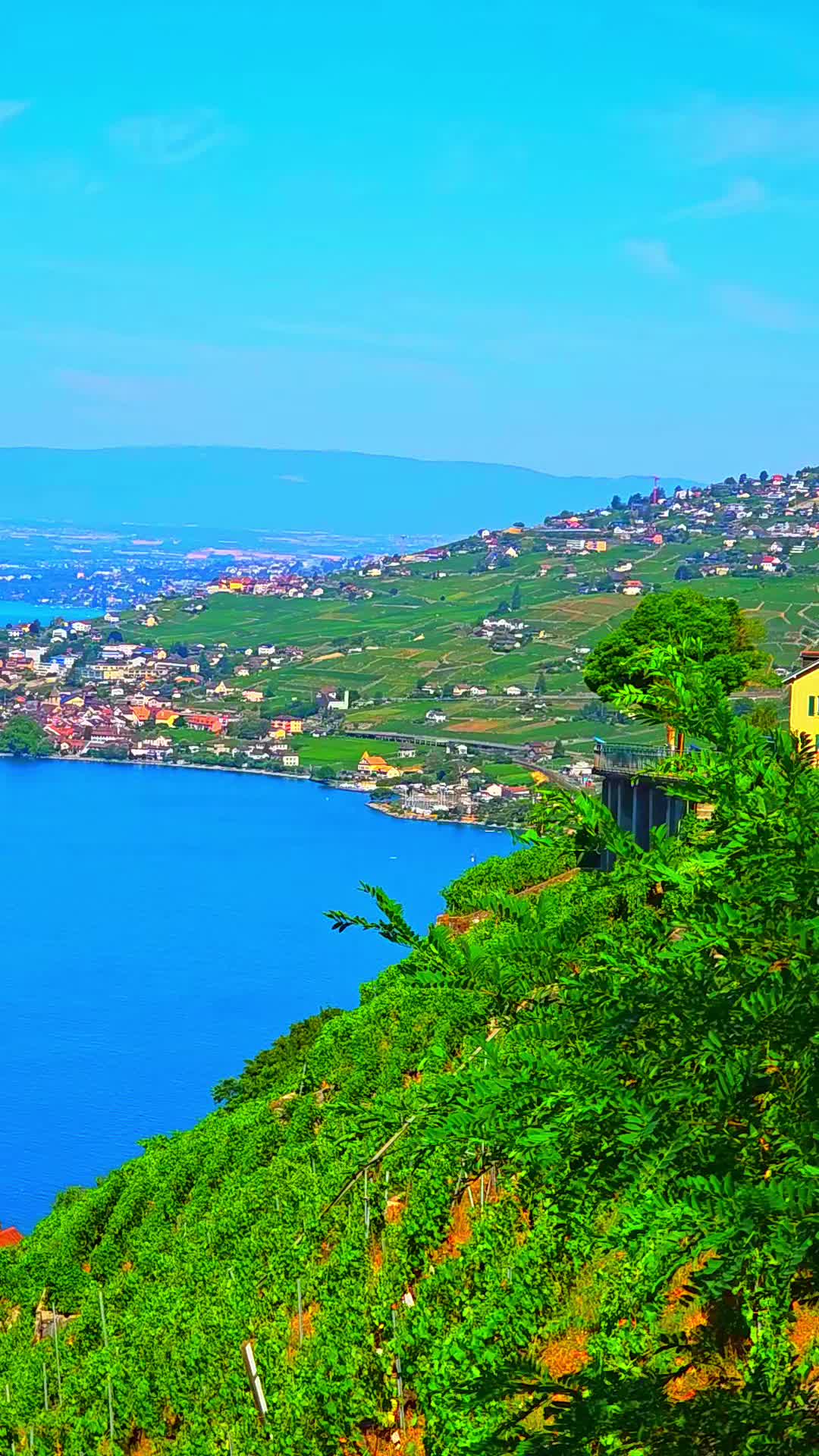 @🇨🇭flores Sérgio 🇵🇹