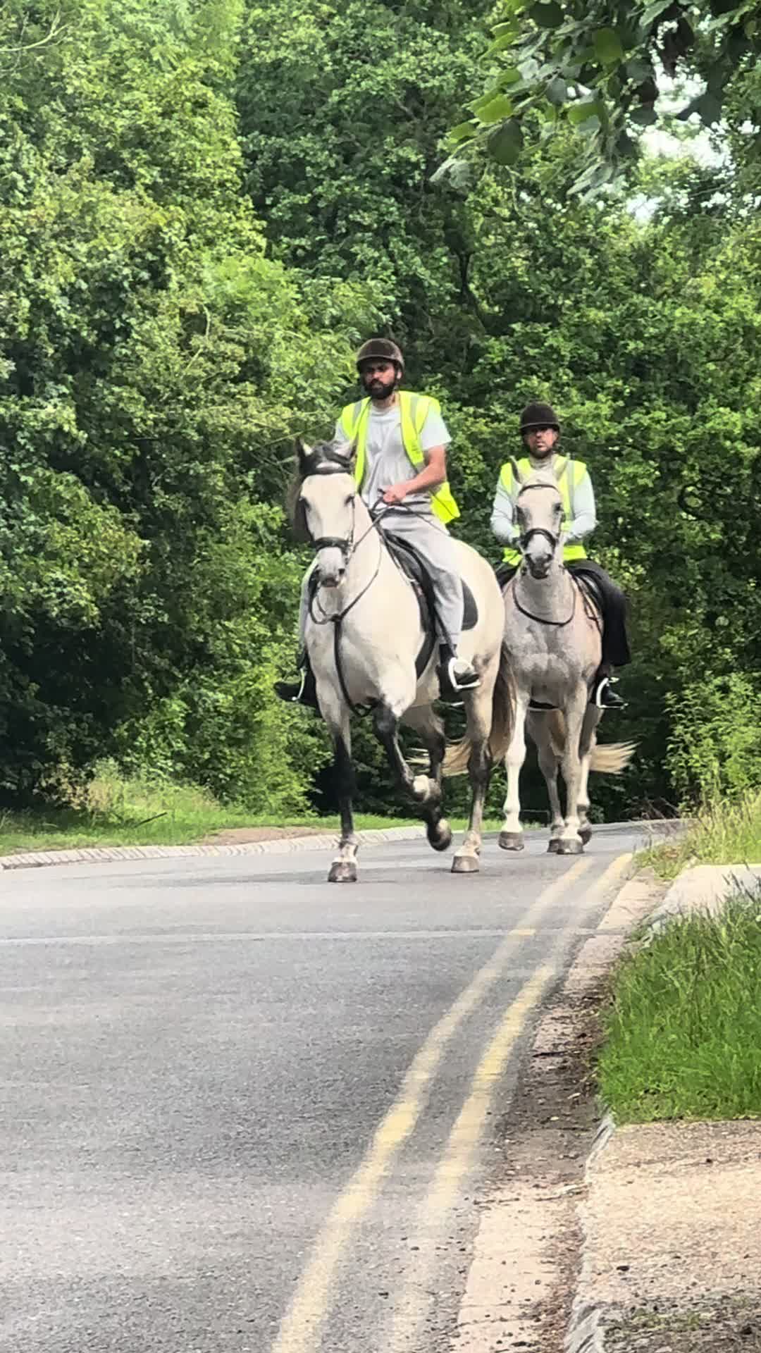 @Slough horses