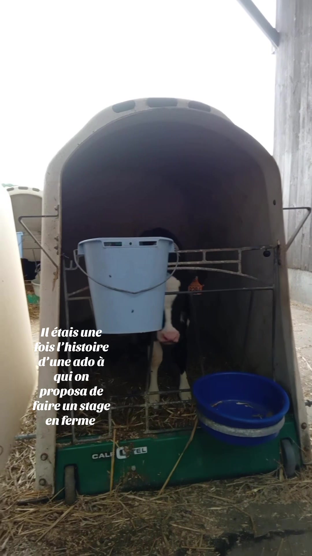 @nadiya🐮