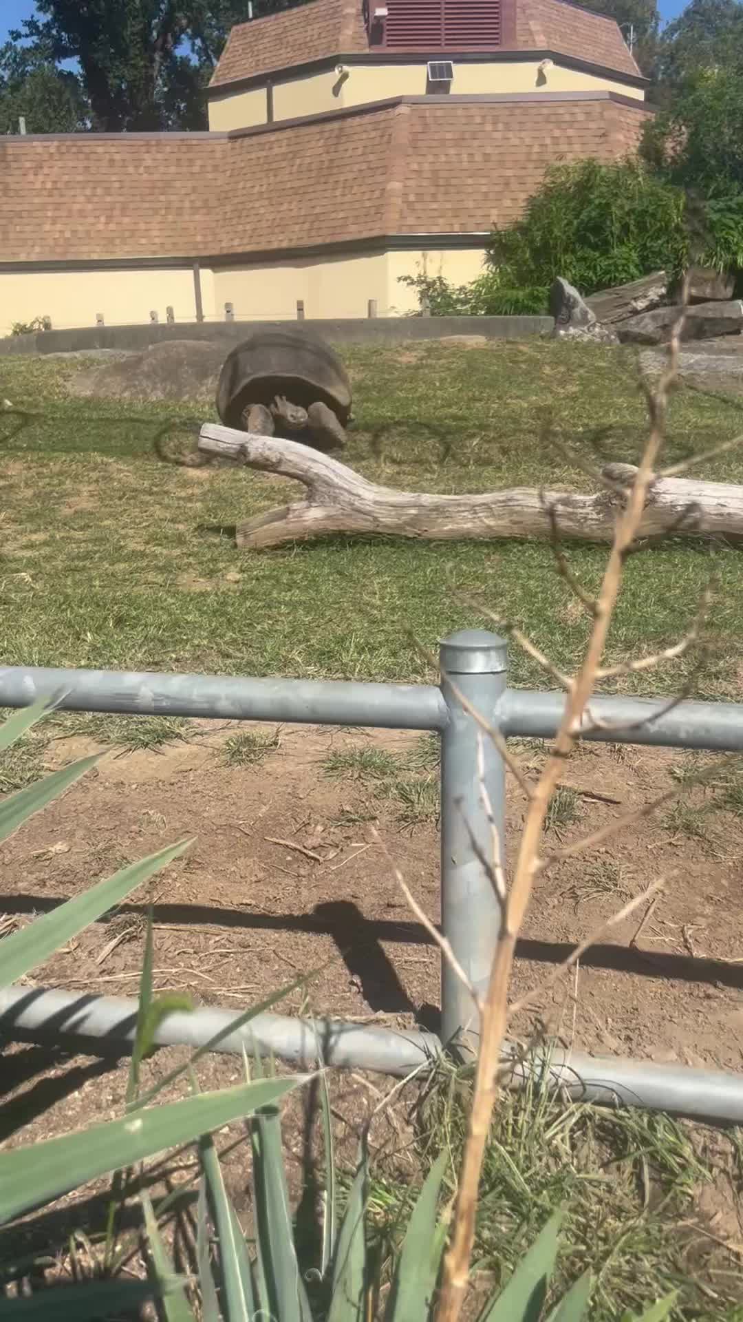 @natushita🇵🇪🇺🇸🌻