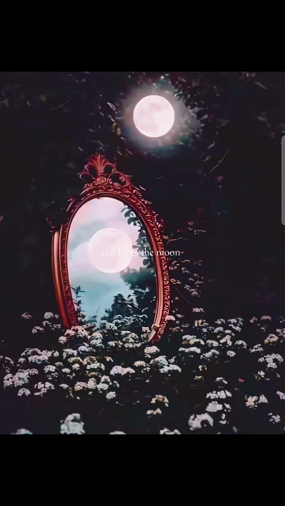 @๐ถ๐๐๐๐๐