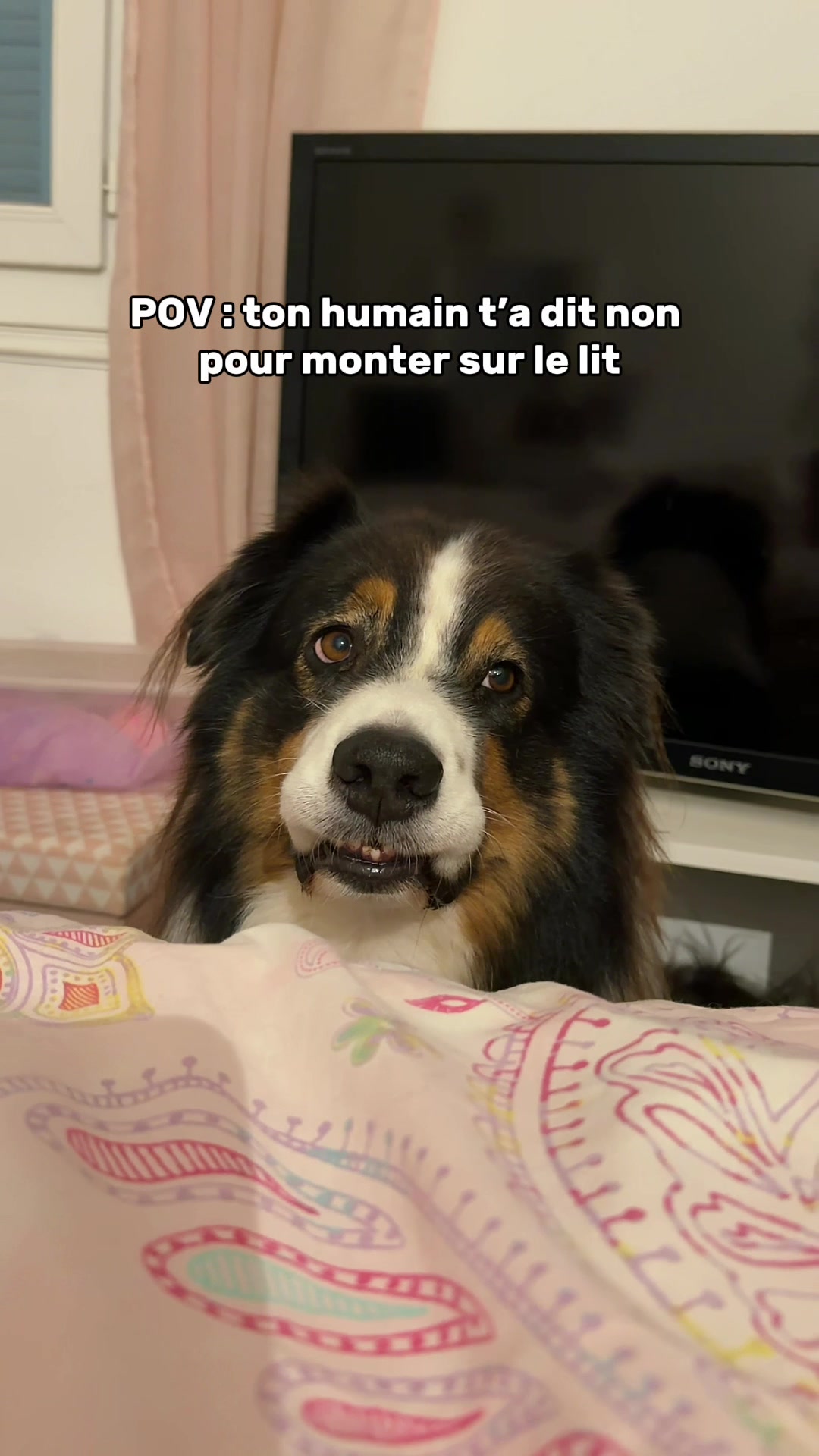 @La Patt’Enchantée