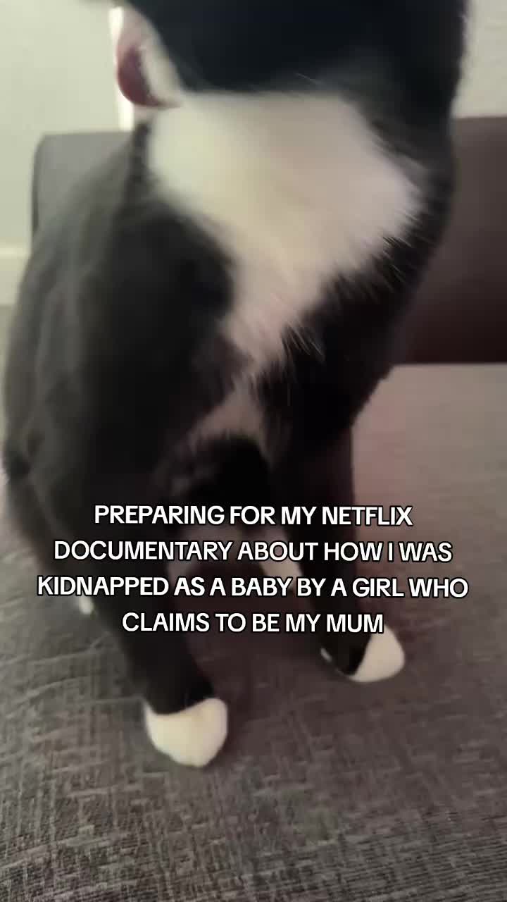 @Truffle the Tuxedo