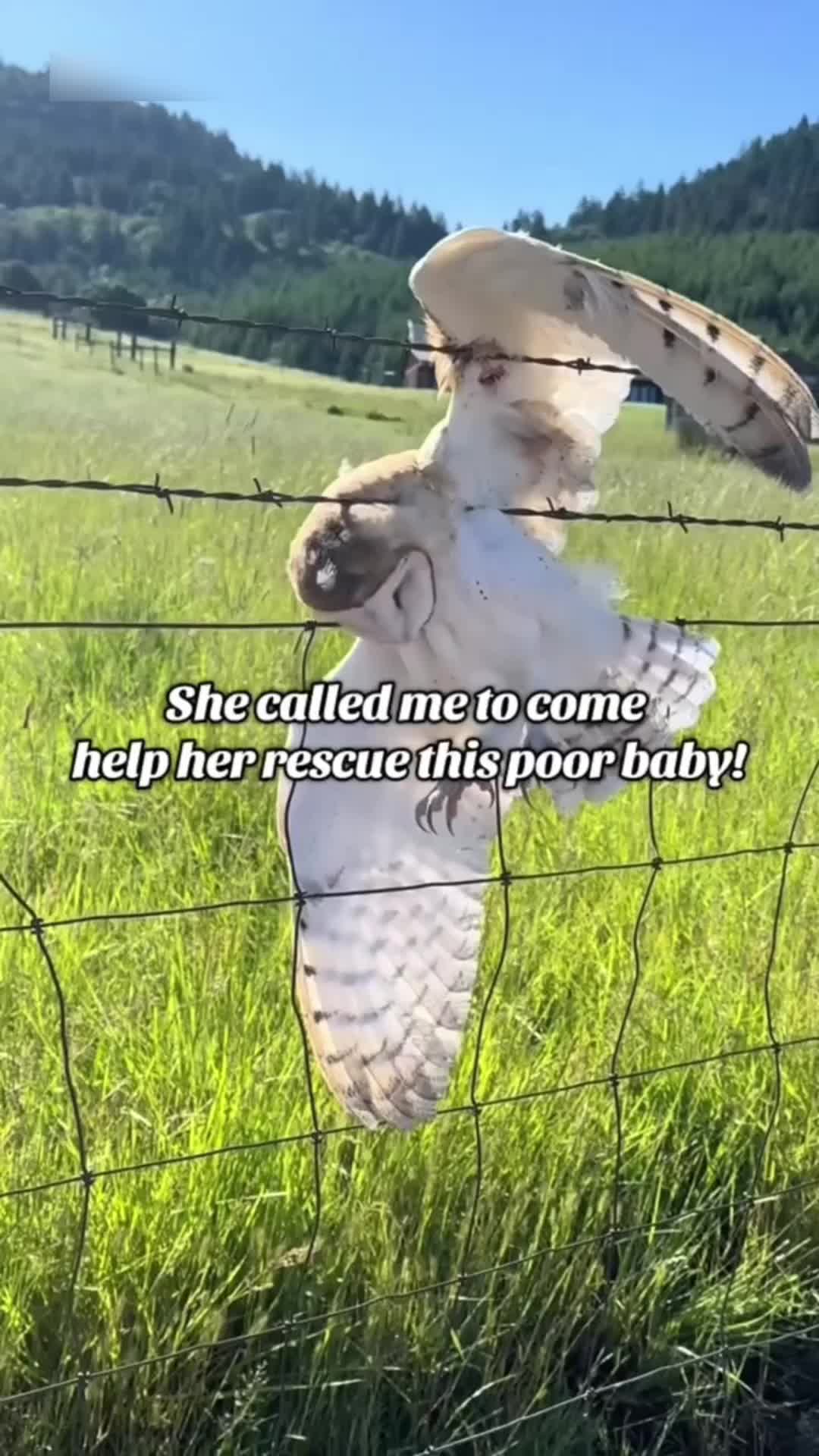 @SnoopMeta