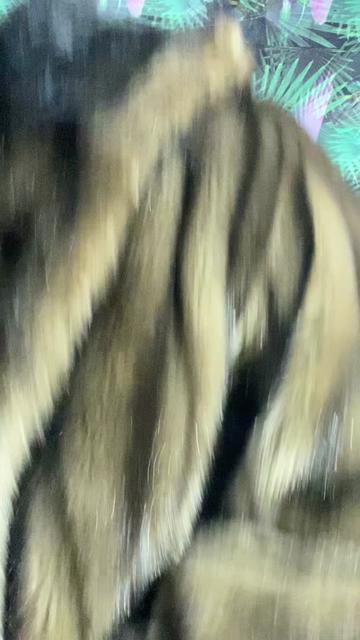 @Tiger🐯